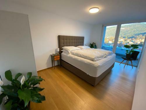 Apartamento Luxus Penthouse Bregenz Feldmoos