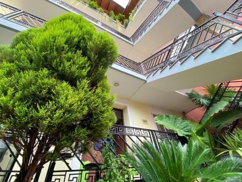 Shkodra Hostel