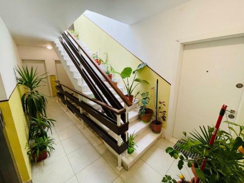 Apartamento Extra Home, Shkod�r