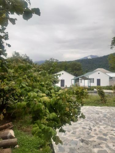 Apartamento Brom Cottages