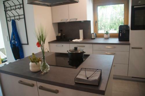 Apartamento Kirschbluetenappartements
