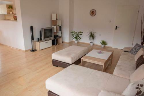 Apartment Suni