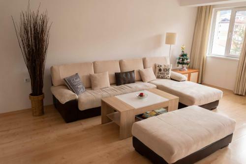 Apartment Suni