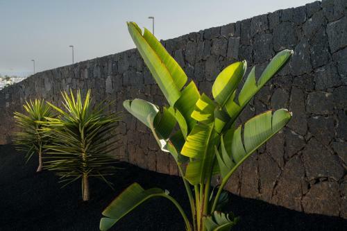 Villas Altos De Lanzarote