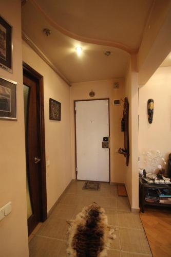 Apartamento ????????