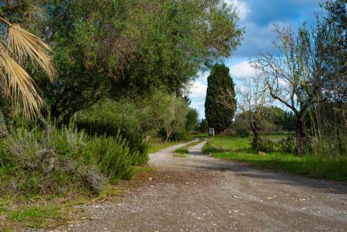 Font de Mal Any - Heated/gated Pool Villa In Pollensa With Wifi