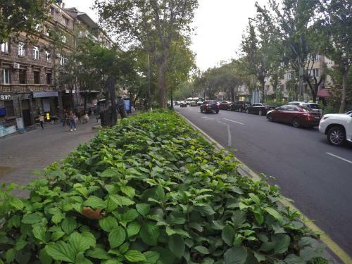 Studio Apartment In Yerevan City Center