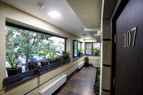 The Phoenix Boutique Hotel