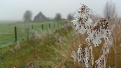 Bed In Waterland