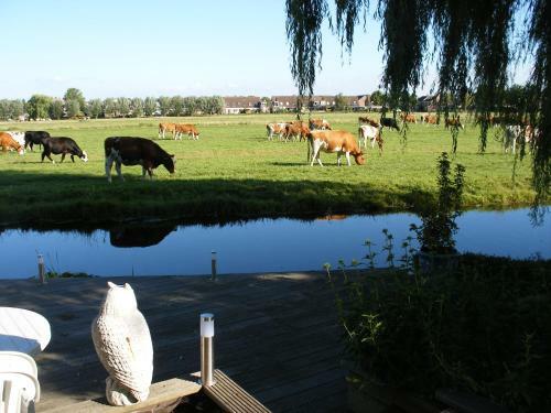 B&b-edam