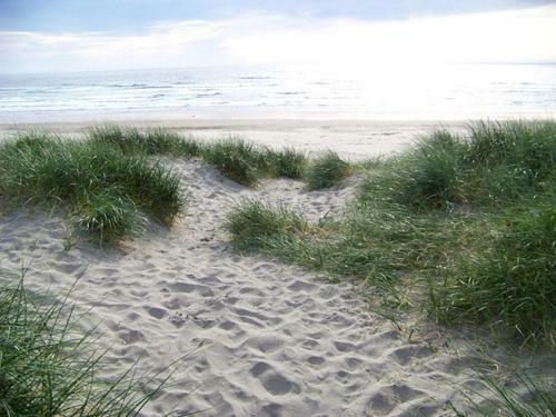 Zonneweelde