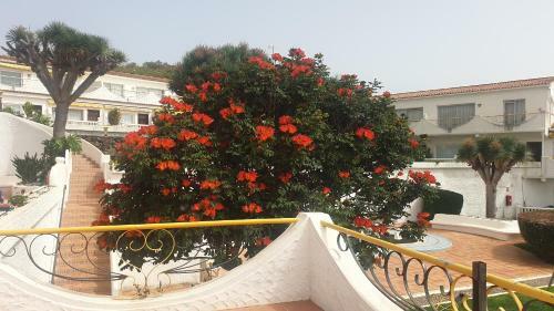 Madre Tierra Apartment