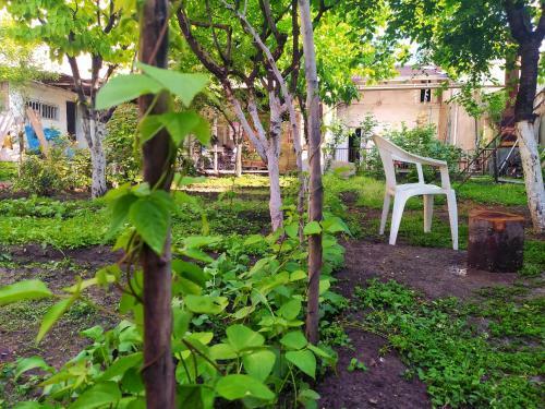 Hostal Flora's Guest House