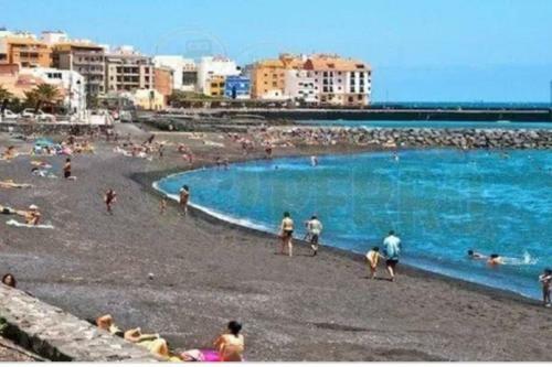 Apartamento Palm Beach