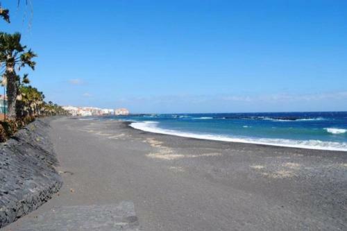 Apartamento Palm Beach