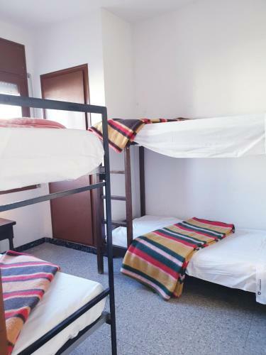 El Mariner, Apartamento de Dos Habitaciones, U4