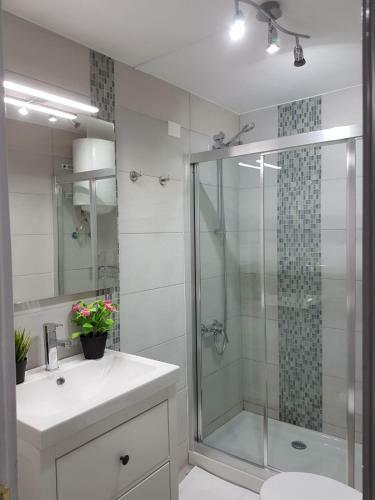 Apartamento Pepe