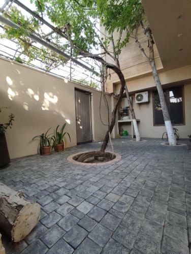 Apartamento Green Rose Studio - Self Checkin - Garden - Bbq