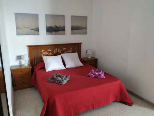 Apartamento Piso Jmam Centro