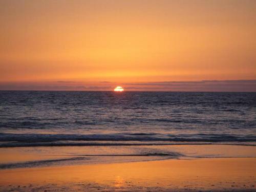 Apartamento Casa Bamb�