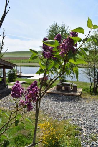 La Cabane Au Bord de L'eau - Logement Insolite
