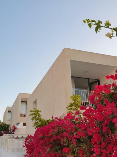 Apartamento Sargo