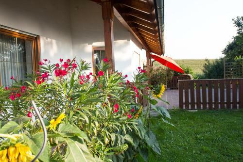 Apartamento Auszeit-wohnungen