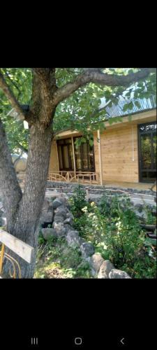 Hostal Albert's Guest House