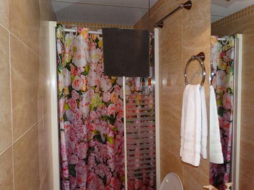 Hostal Pension Plaza