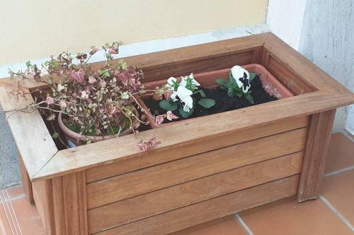 Alojamiento R�o Clar�n
