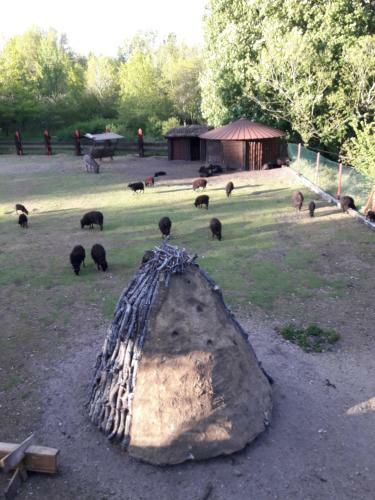 Agroturismo Zaguan