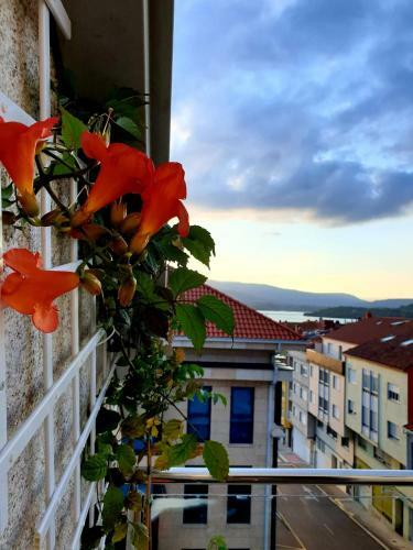 Apartamento La Xouba