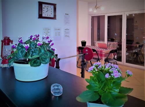 Hostal Guesthouse Bela