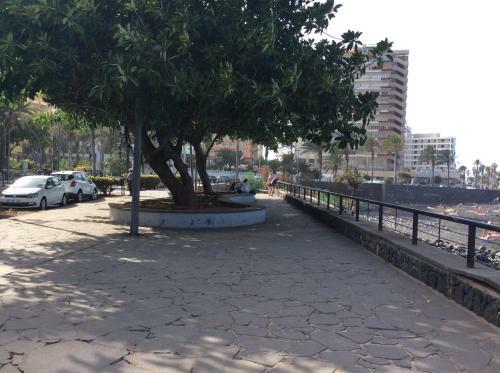 Apartamento ??????????? Martianez