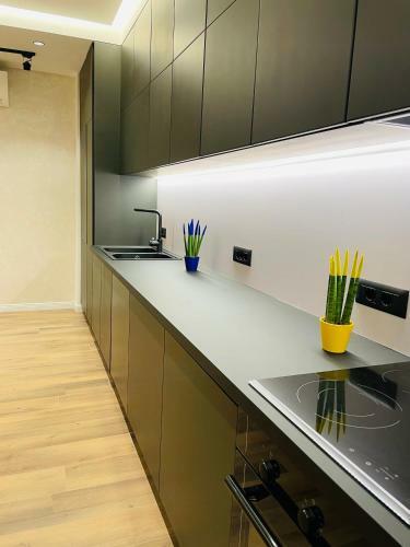 Apartamento Palmar Inn