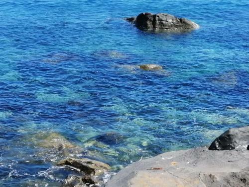 Apartamento Con Encanto En Puerto de La Cruz