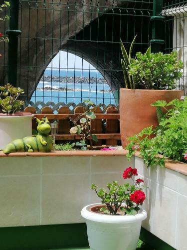 Apartamento Con Encanto En Puerto de La Cruz