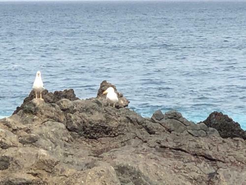 Punta Brava Sun