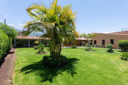 Casa Strelizia