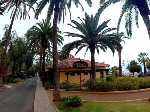 Apartamento Estudio Brillante, Confortable Y Agradable