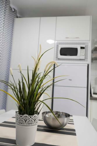 C�ntrico Apartamento Cerca de La Playa
