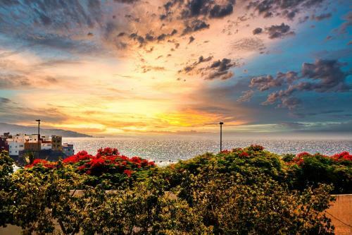 Apartamento Teneguia Puerto de La Cruz