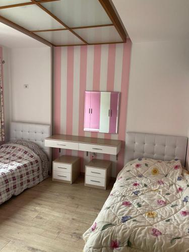 Apartament Orestiada1