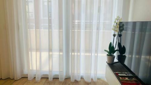 Proper Central Apartment