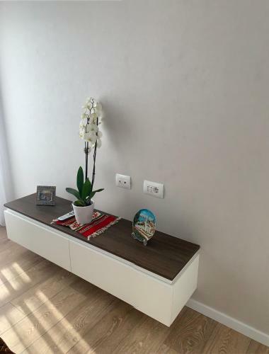 Proper Central Apartment