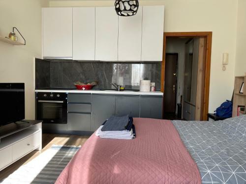 Apartamento Lovely One Bedroom Studio In Tirana