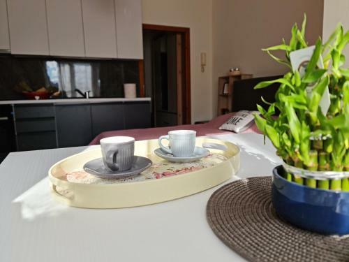 Apartamento Lovely One Bedroom Studio In Tirana
