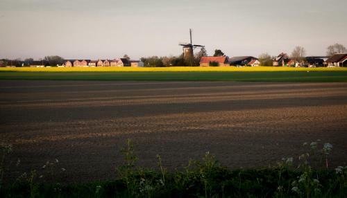 Hotel Bruist