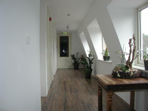 Apartamento Bosch Duin Strand