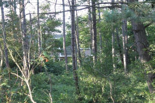 Apartamento Bosch Duin Strand